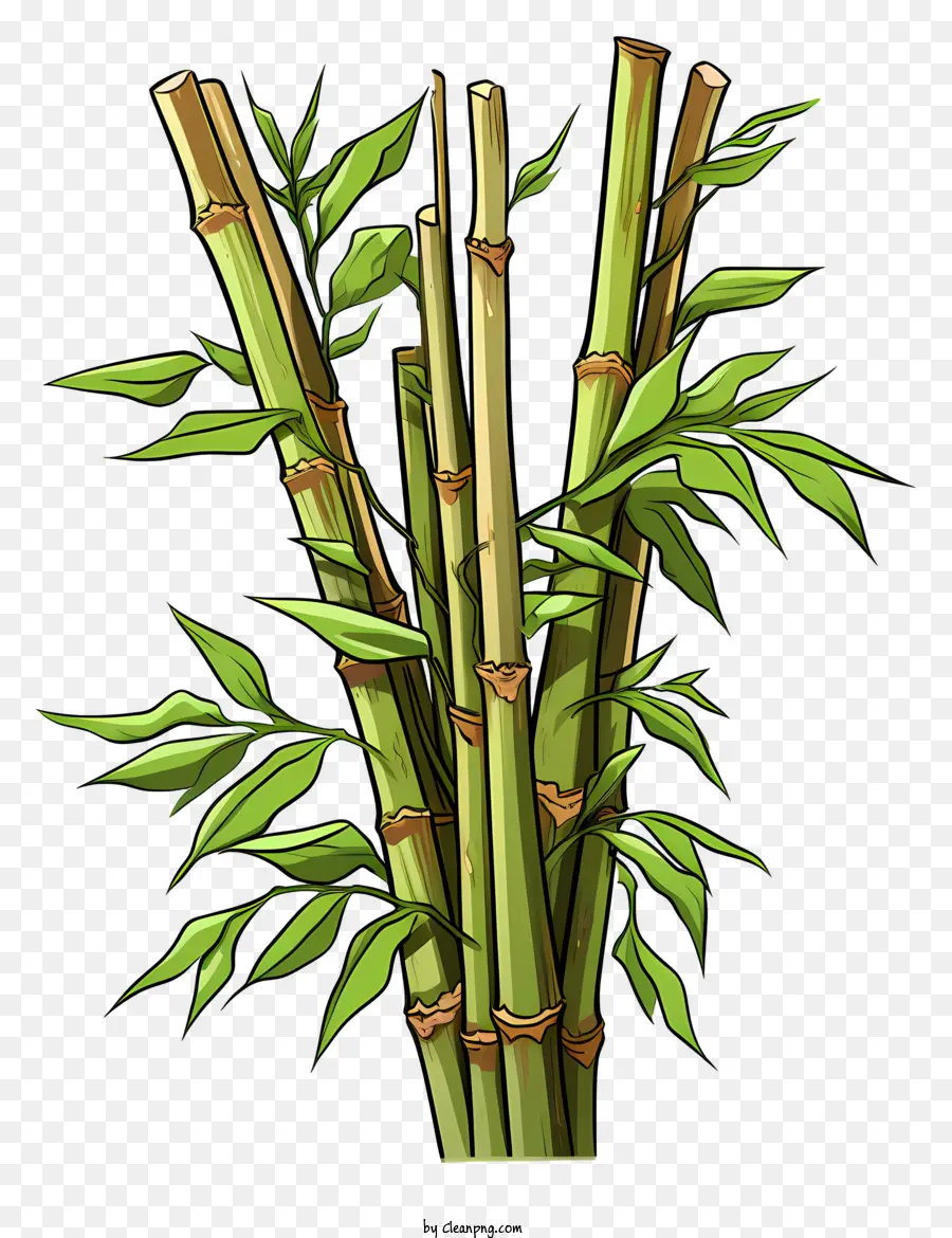 Caule De Bambu No Estilo De Esboço，Planta De Bambu PNG