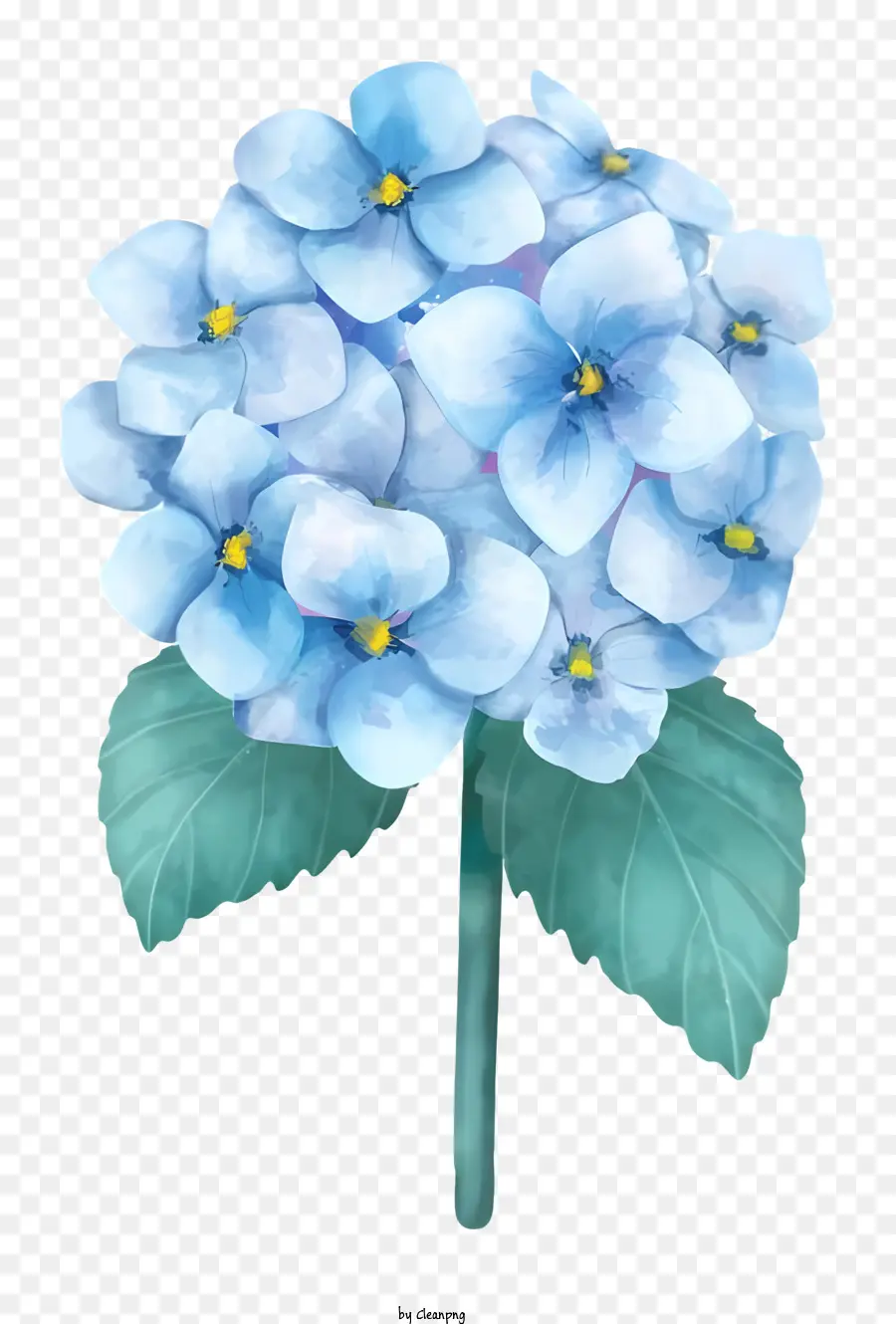 Hortênsia，Hydrant PNG