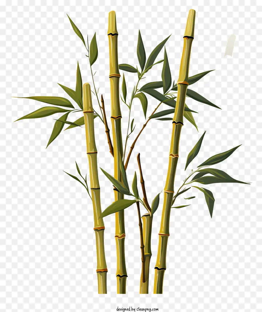 Haste Plana De Bambu，Bambu PNG