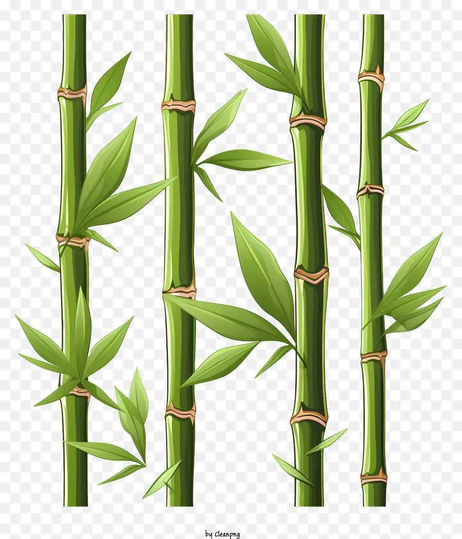 Caule De Bambu No Estilo Doodle，Bosques De Bambu PNG