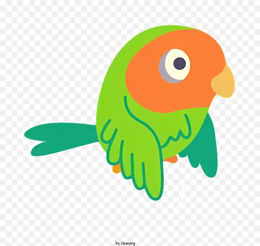 Parrot De Pássaro，Aves PNG