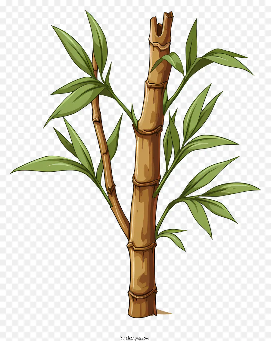 Caule De Bambu No Estilo De Esboço，árvore De Bambu PNG