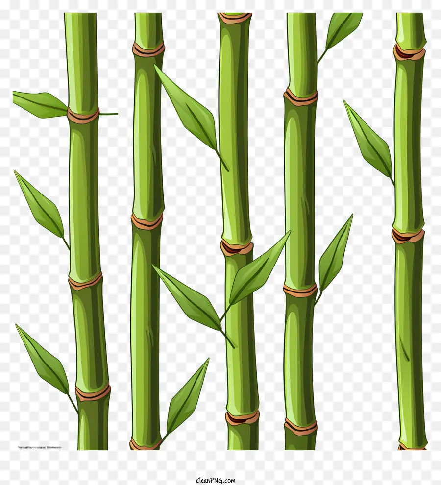 Caule De Bambu No Estilo Doodle，Bambu PNG