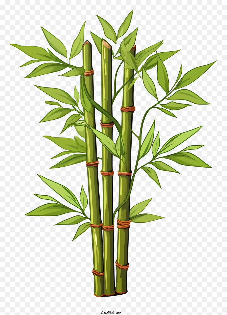 Haste Plana De Bambu，Bambu Verde PNG