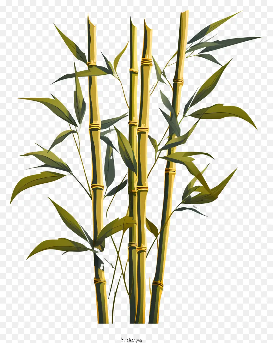 Caule De Bambu Plano，Planta De Bambu PNG