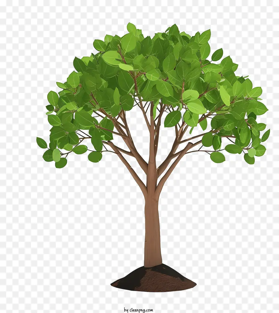 Árvore De Plantio Realista，árvore PNG