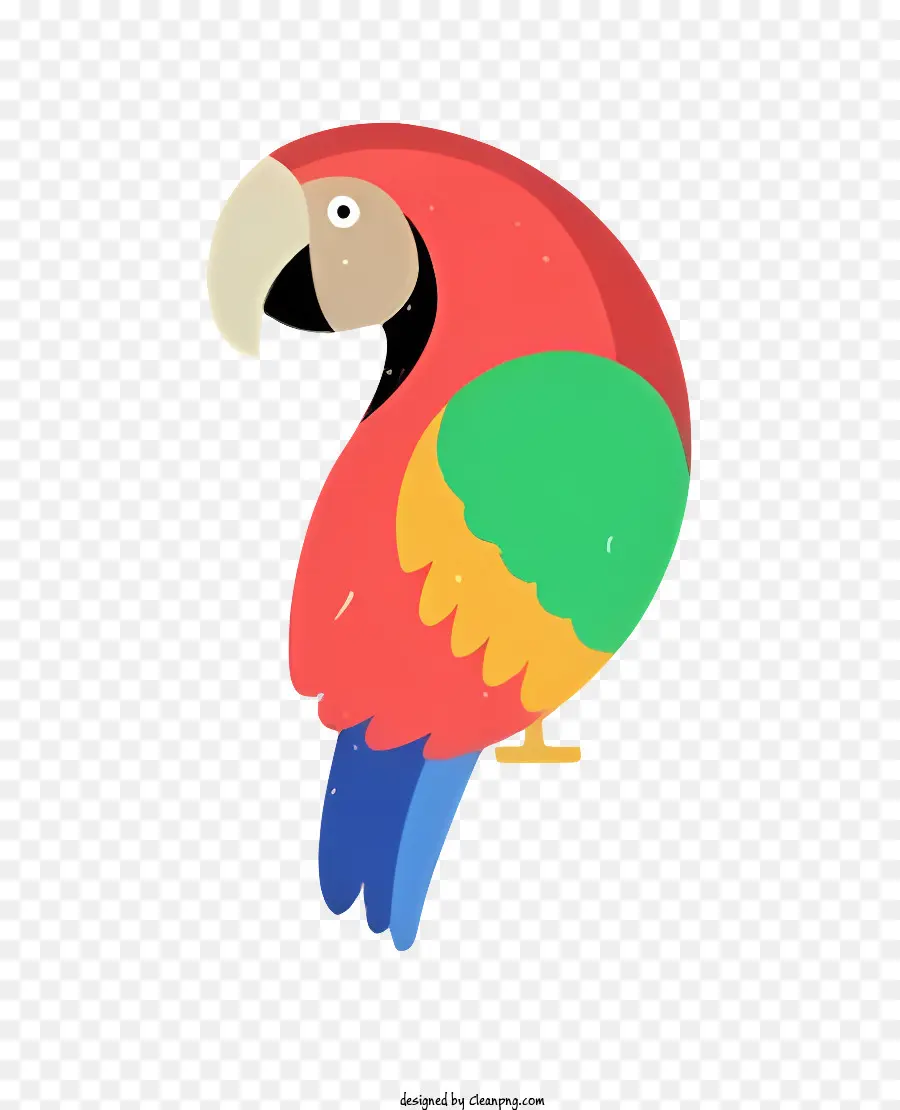 Parrot De Pássaro，Papagaio PNG