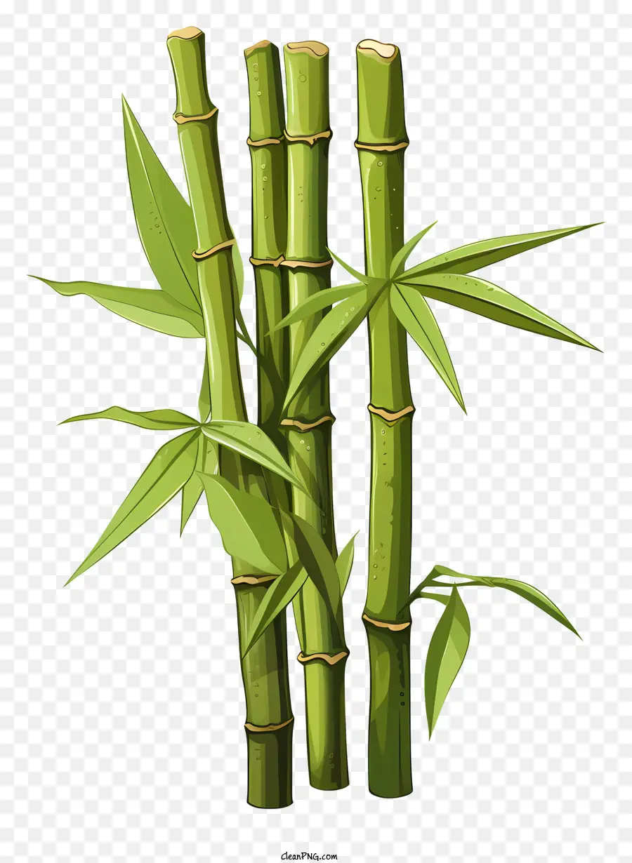 Caule De Bambu No Estilo De Esboço，Bambu PNG