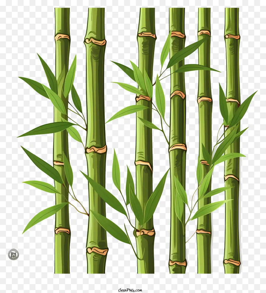 Caule De Bambu No Estilo Doodle，árvores De Bambu PNG