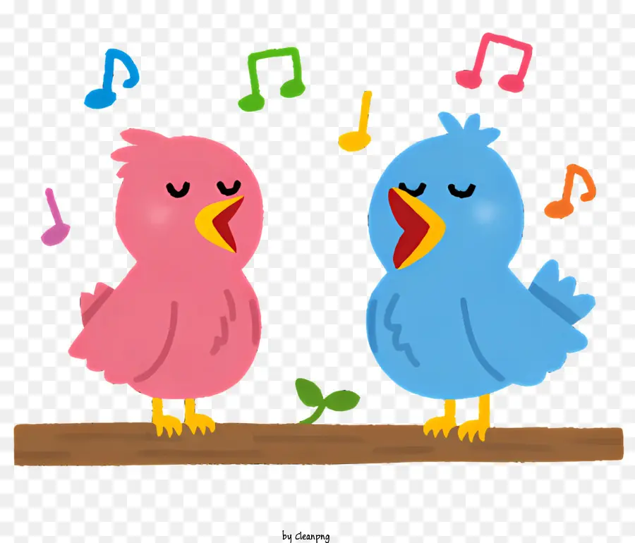 Música，Aves PNG