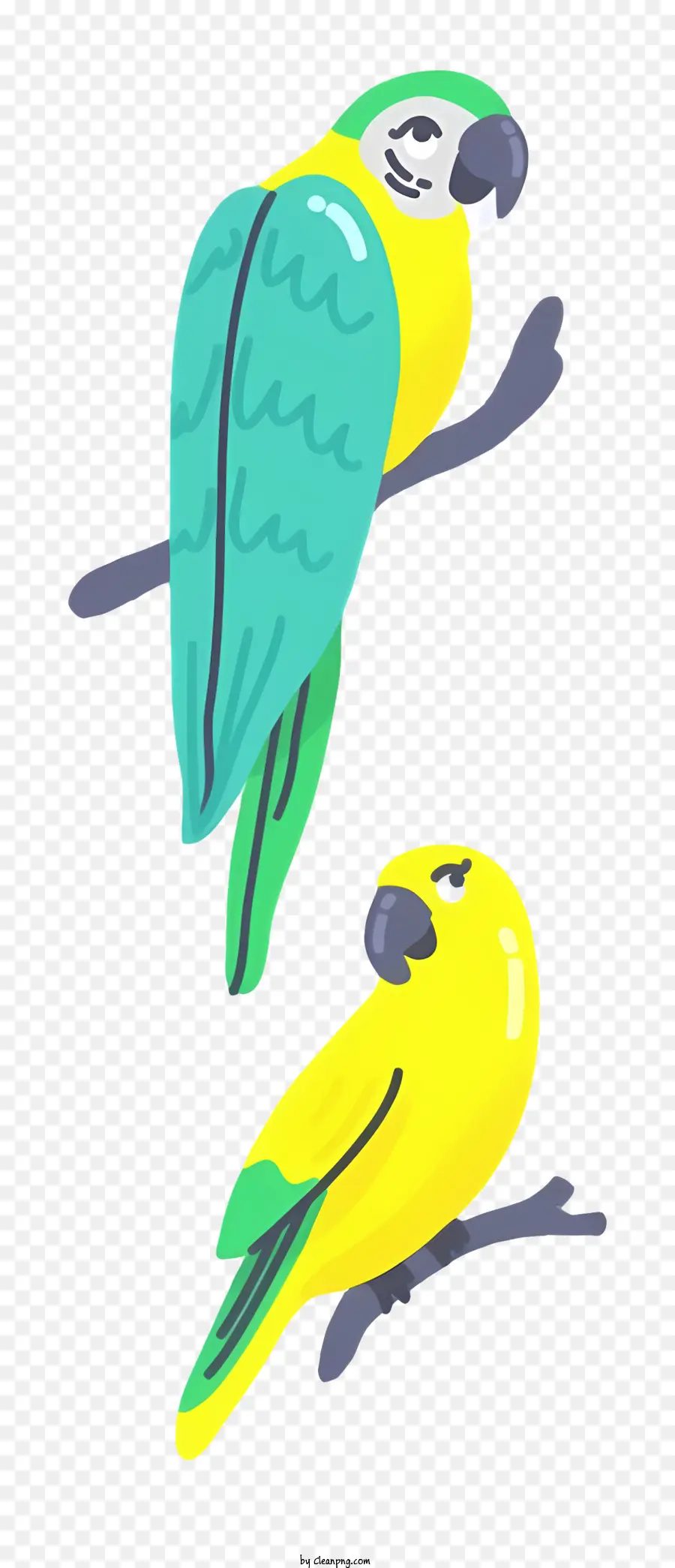Parrot De Pássaro，Papagaios PNG