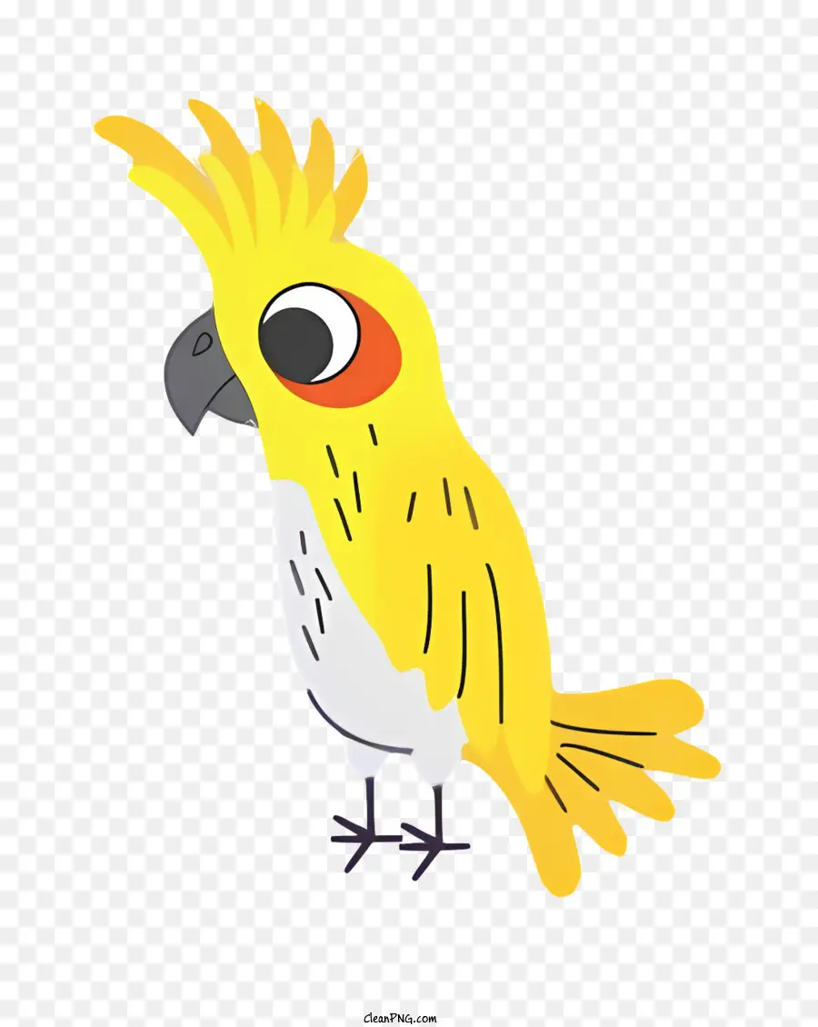Parrot De Pássaro，Amarelo Papagaio PNG