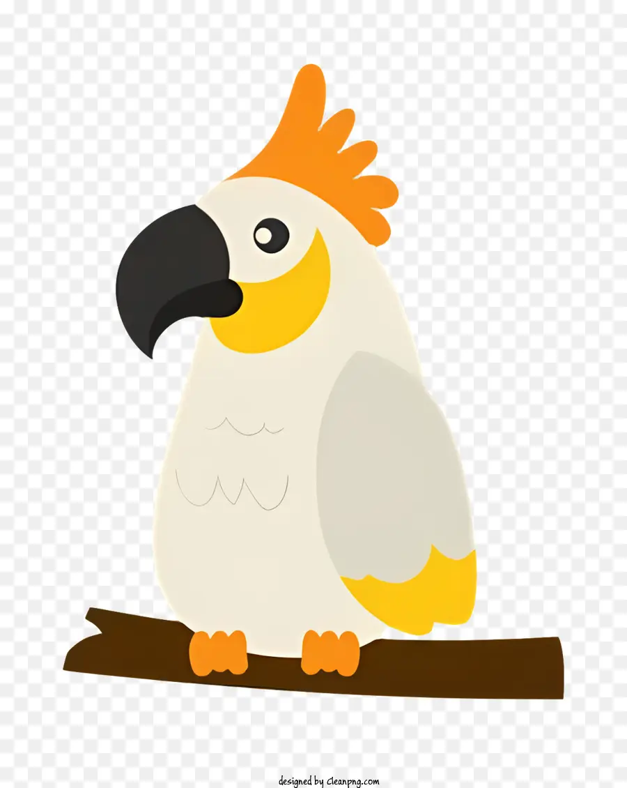 Parrot De Pássaro，Pássaro Com Asas Espalhadas PNG