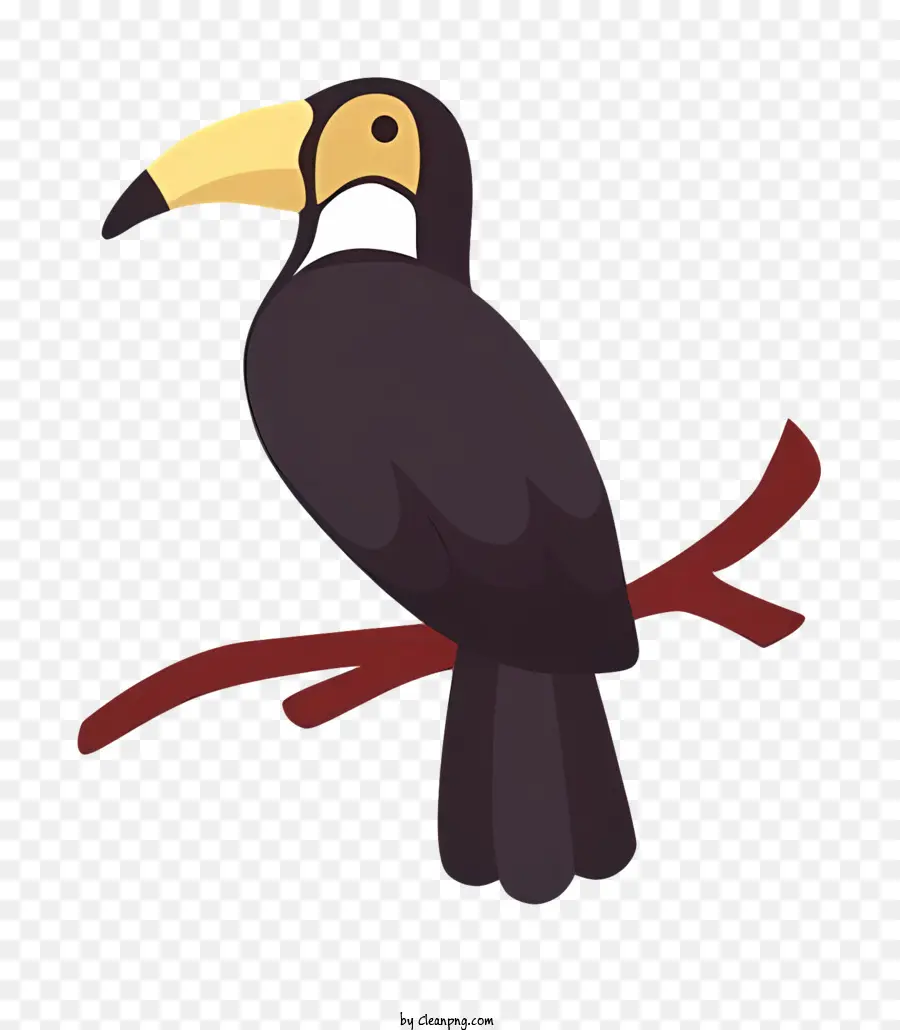 Parrot De Pássaro，Cartoon Tucano PNG