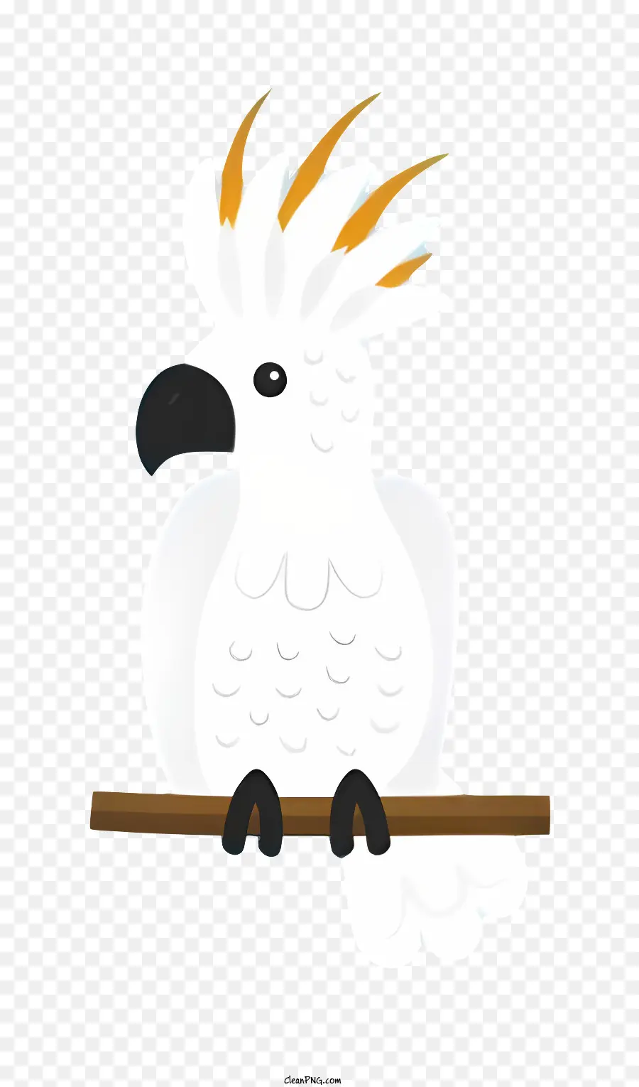 Parrot De Pássaro，Branco PNG