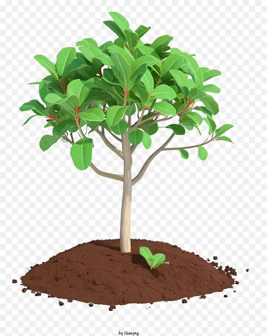 Árvore De Plantio 3d Realista，árvore Com Raízes Expostas PNG
