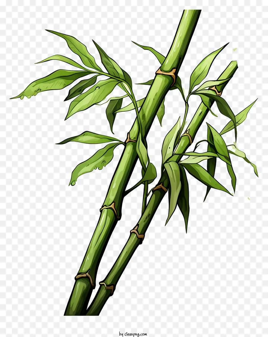 Caule De Bambu No Estilo Doodle，Planta De Bambu PNG