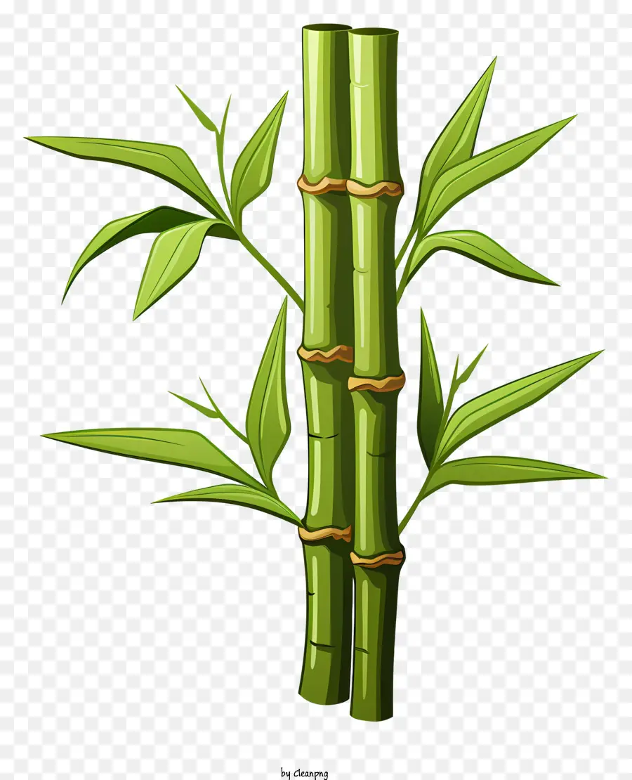 Caule De Bambu No Estilo Doodle，Folhas De Bambu PNG