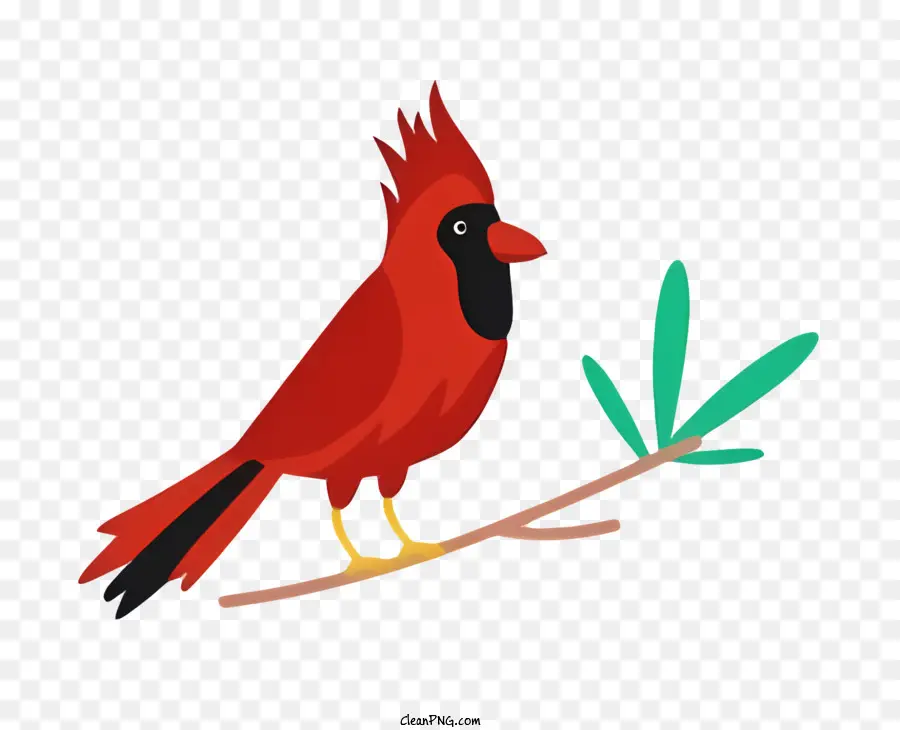 Parrot De Pássaro，Vermelho Cardeal Pássaro PNG