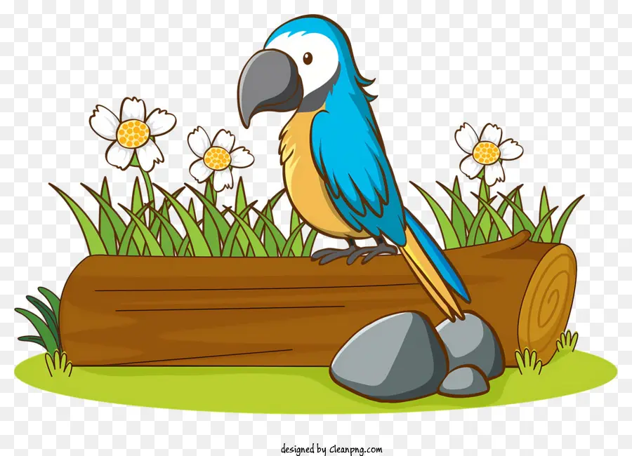 Parrot De Pássaro，Parrot Azul E Amarelo PNG