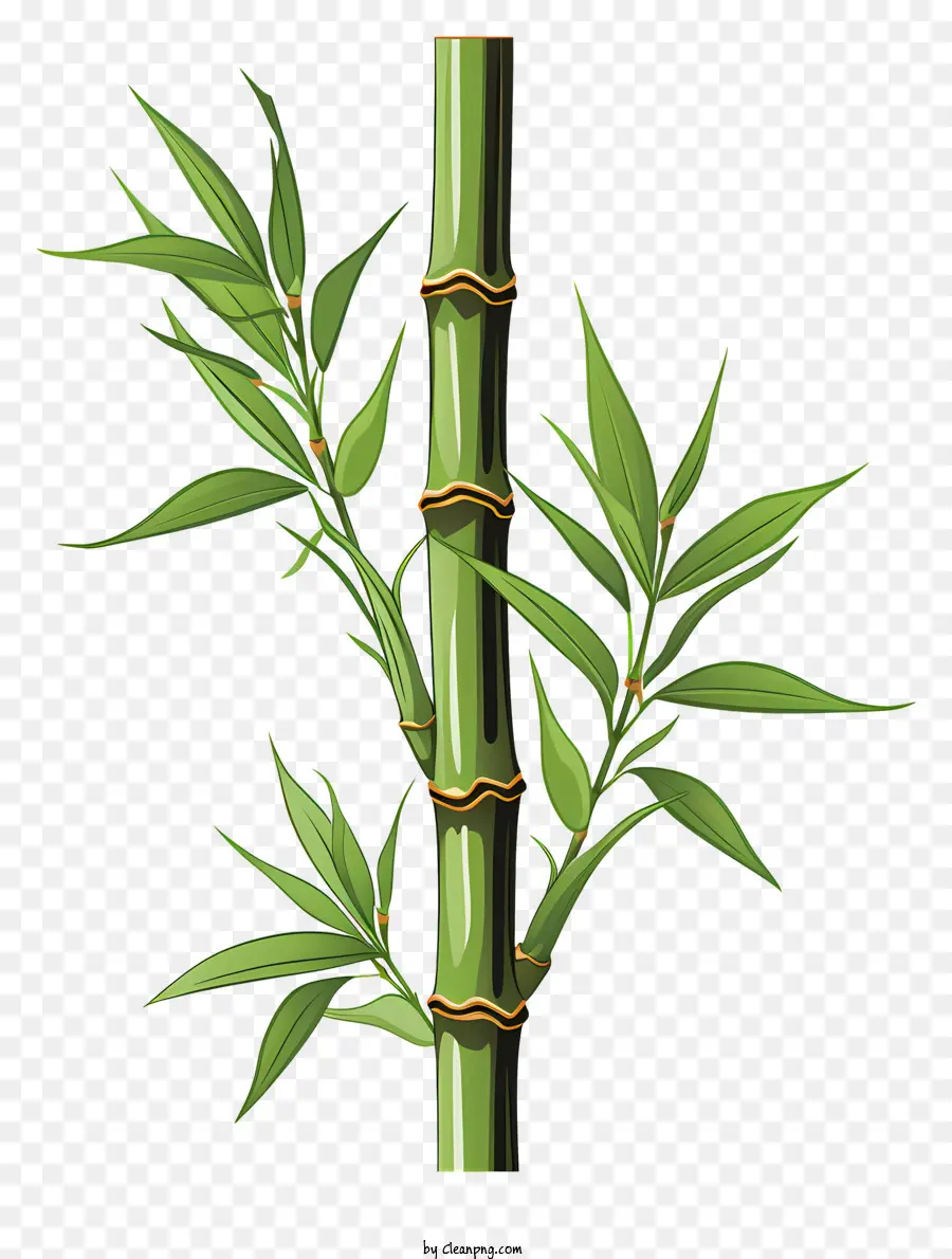 Haste De Bambu Desenhada à Mão，Bambu PNG