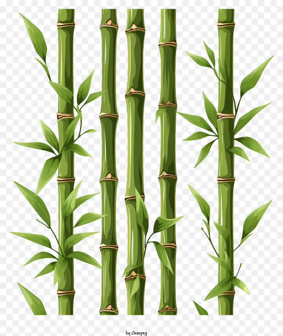 Caule De Bambu No Estilo Doodle，Bambu PNG