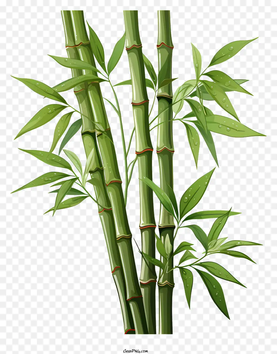 Haste De Bambu Em Aquarela，Planta De Bambu PNG