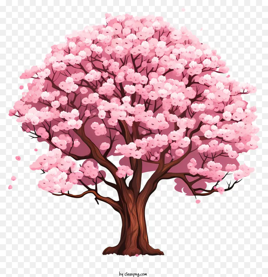 Árvore De Flor De Cerejeira No Estilo Doodle，Flores Rosa PNG