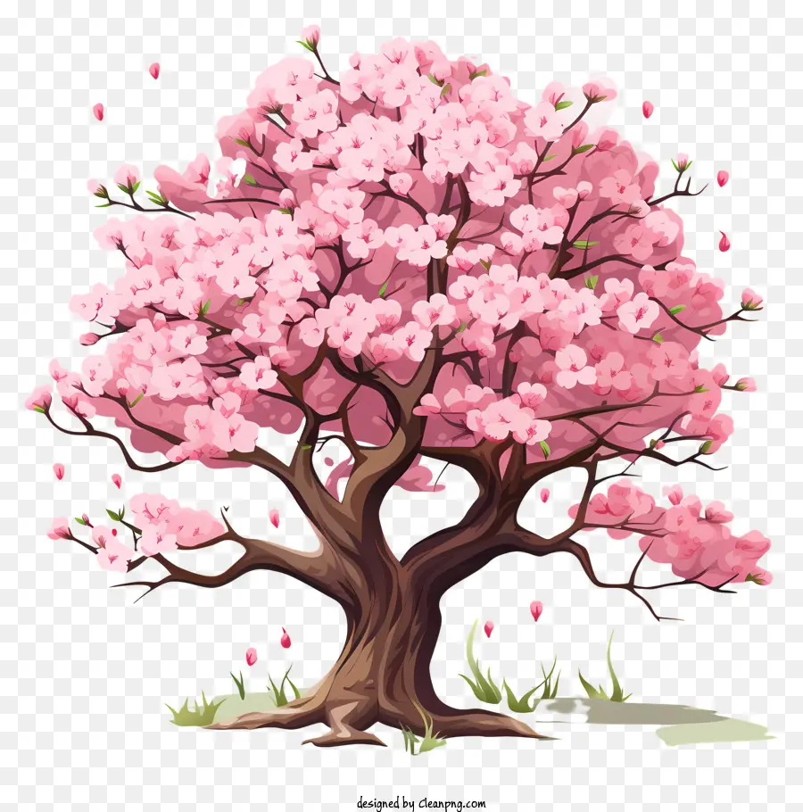 Árvore De Flor De Cerejeira No Estilo Doodle，Cor De Rosa Cereja árvore PNG