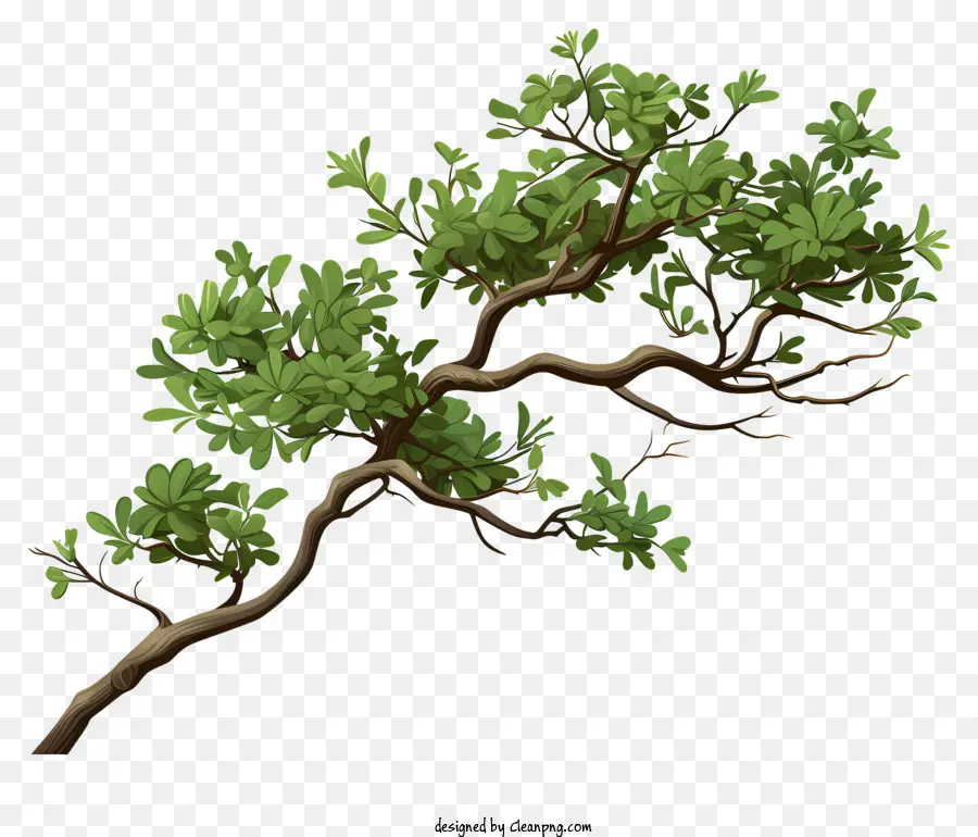 Ramo De árvore De Estilo Realista，Galho De árvore Verde PNG