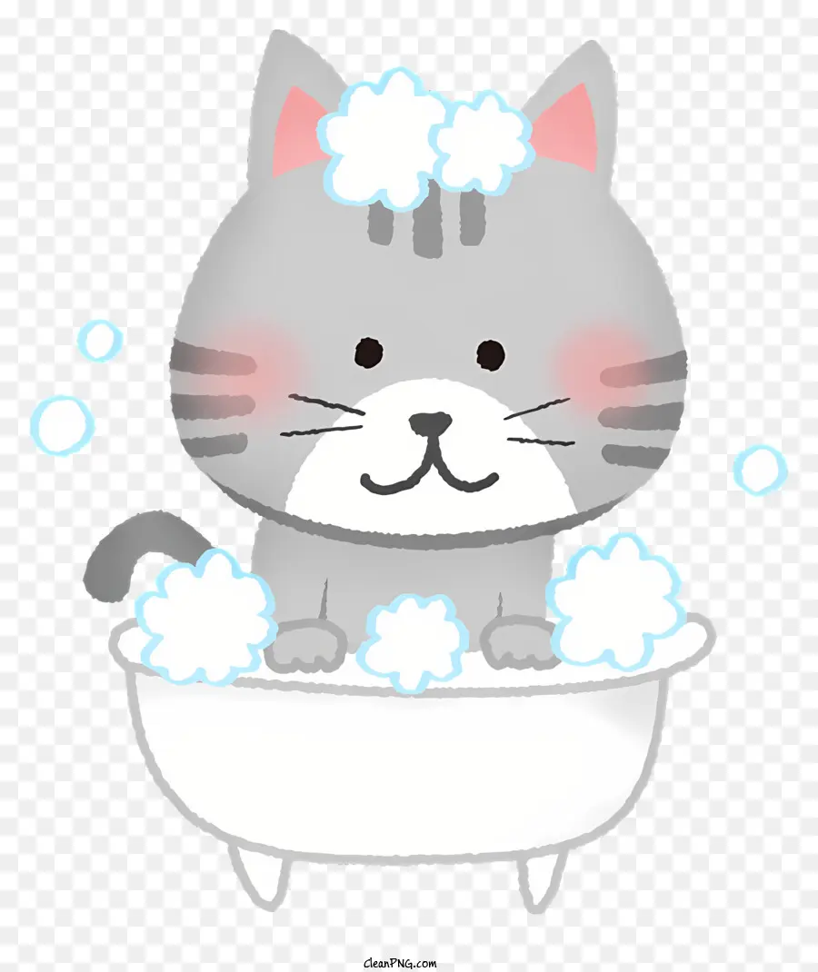 Gato Bonito，Gray Cat PNG