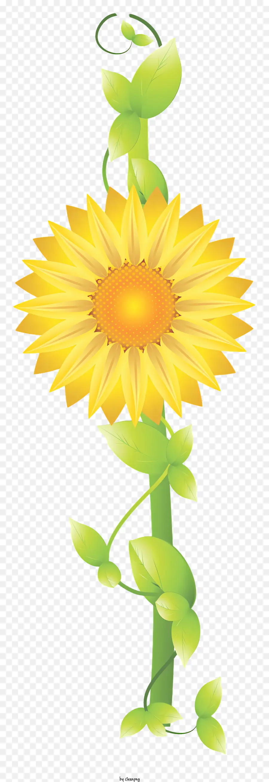 Linha De Flores，Girassol PNG