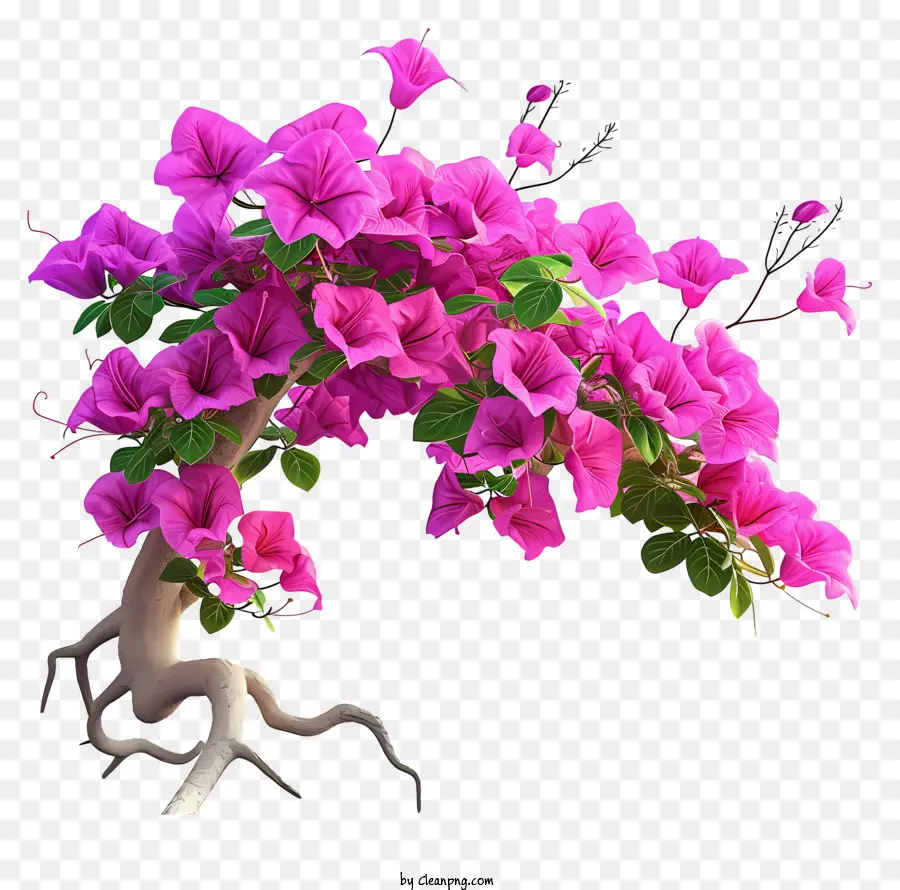Cartoon Bougainvillea，Árvore De Floração Rosa PNG