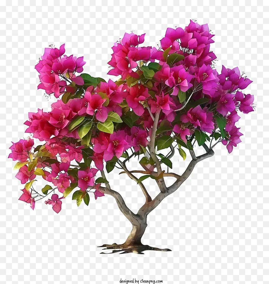 Bougainvillea Realista 3d，árvore Com Flores Rosa PNG