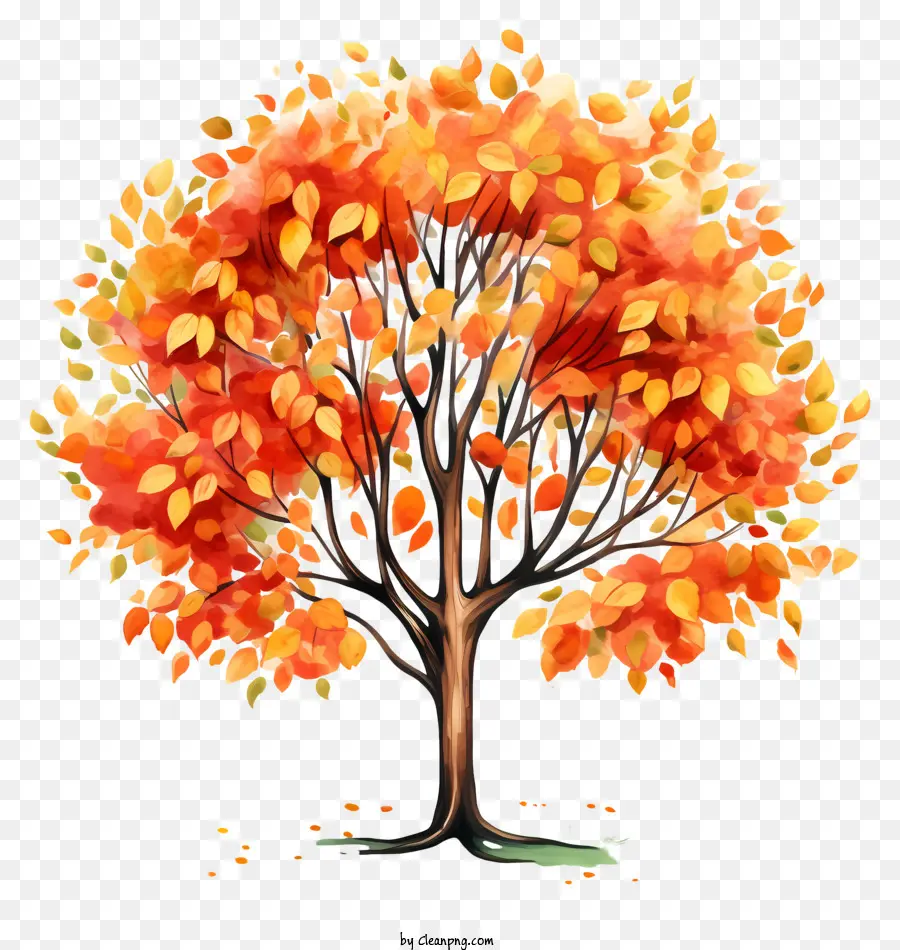 Árvore De Outono Em Aquarela，Autumn Leaves PNG