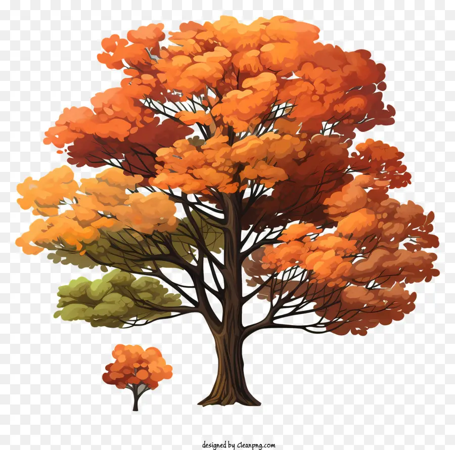 Árvore De Outono De Estilo De Esboço，árvore Grande PNG