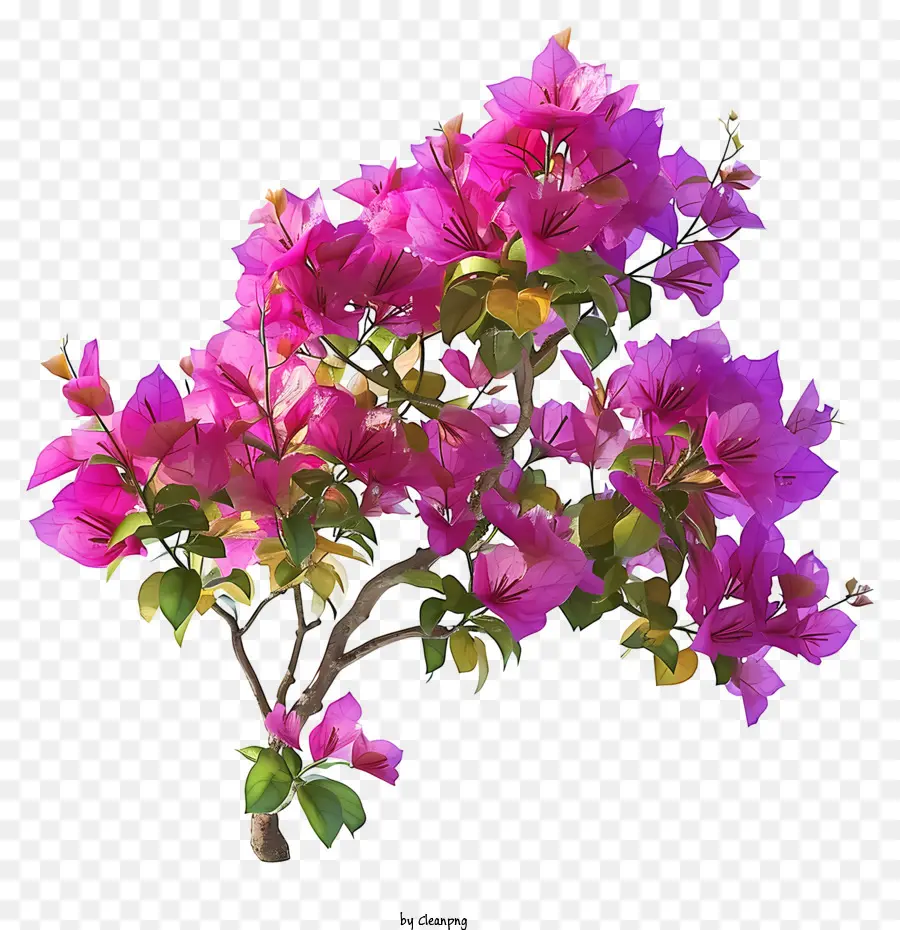 Bougainvillea Realista 3d，árvore Com Flores Rosa PNG