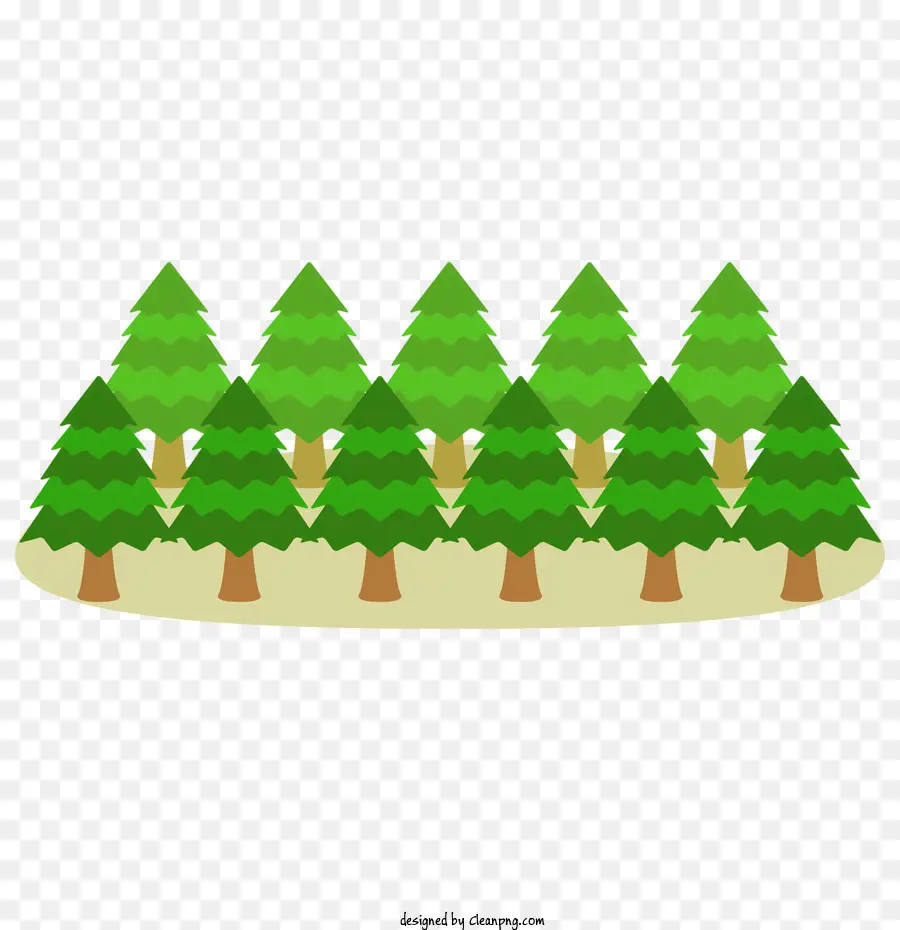 Cedro，árvores Verdes PNG