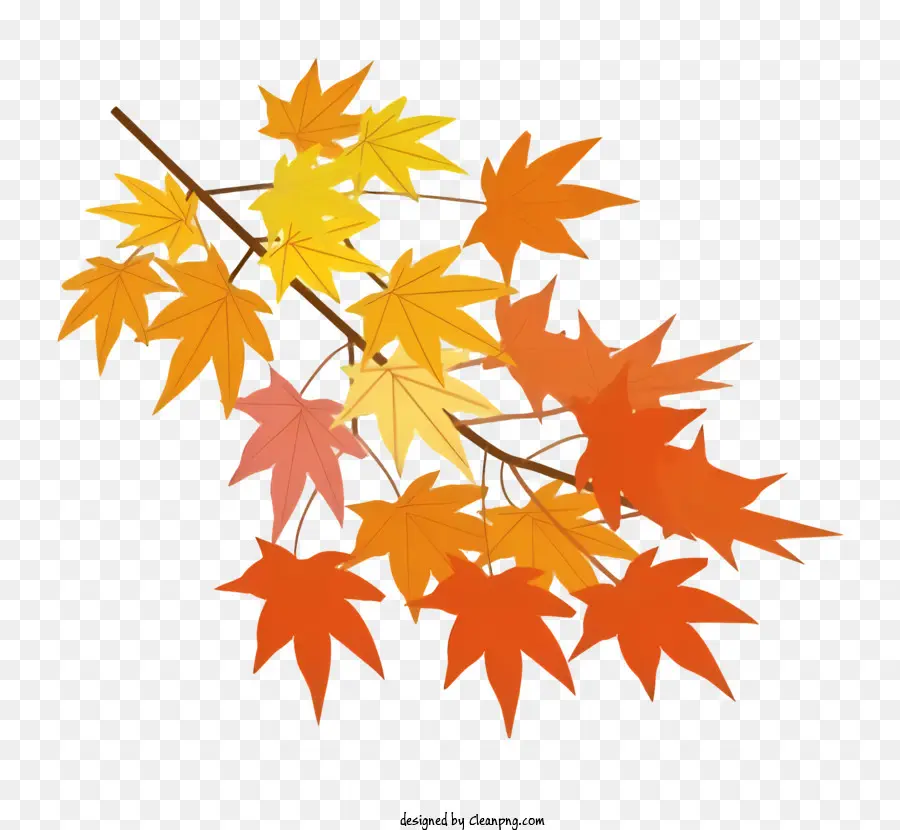 Autumn Leaves，Folhagem De Outono PNG