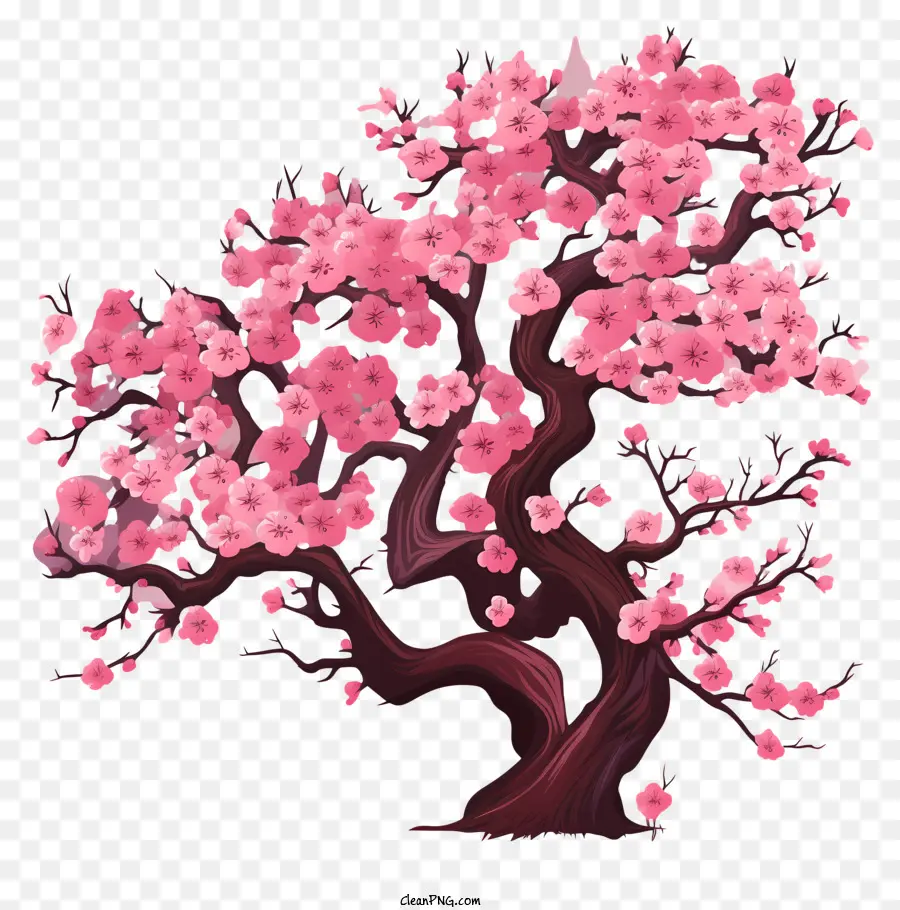 Árvore De Flores De Cerejeira Desenhada à Mão，Flor De Cereja árvore PNG