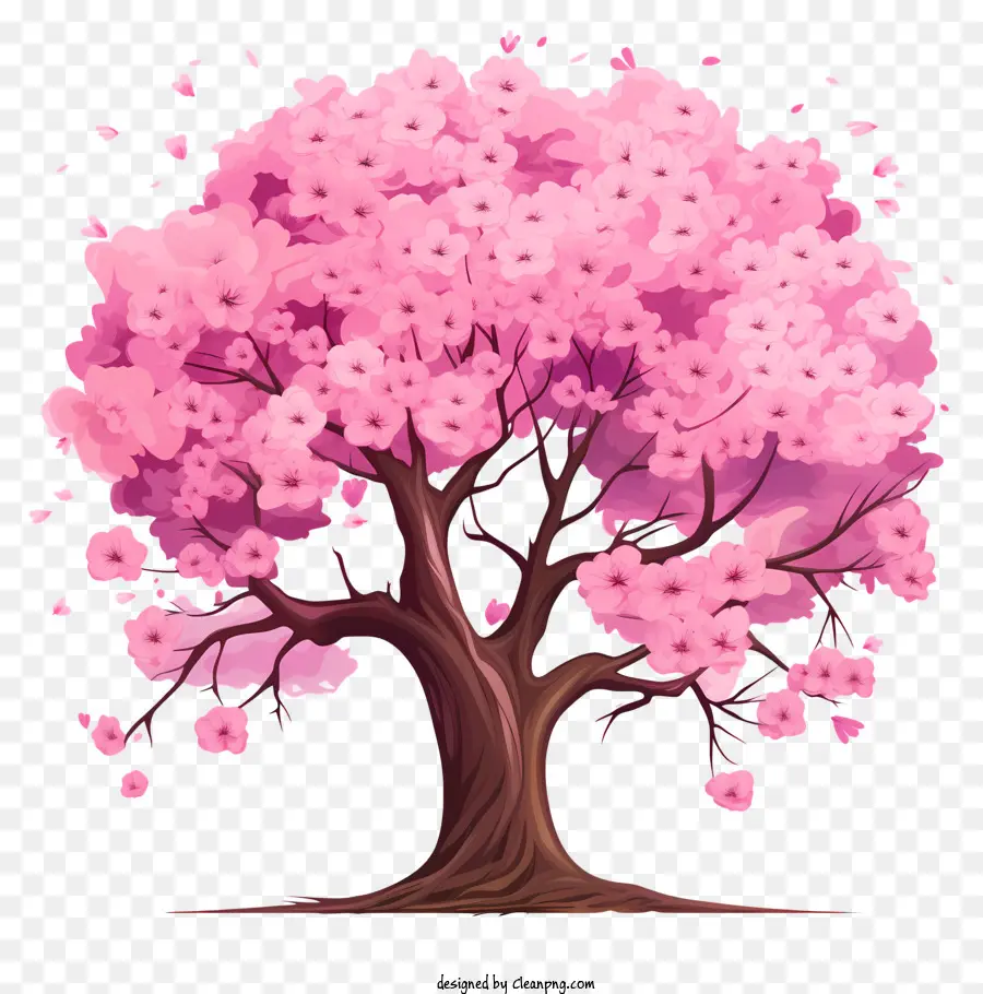 Árvore De Flor De Cerejeira De Estilo De Esboço，Flor De Cereja árvore PNG