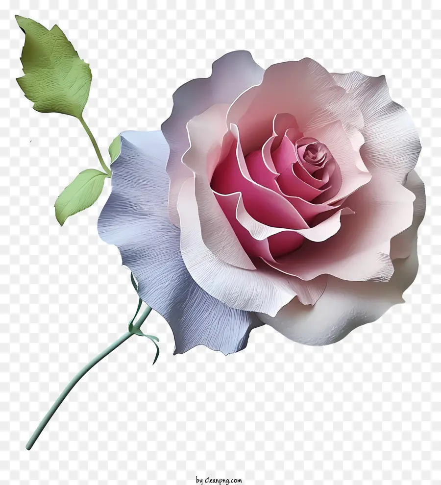 Rosa Pastel E Papel，Rosa Cor De Rosa PNG
