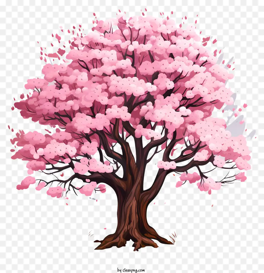 Árvore De Flor De Cerejeira No Estilo Doodle，árvore De Sakura PNG