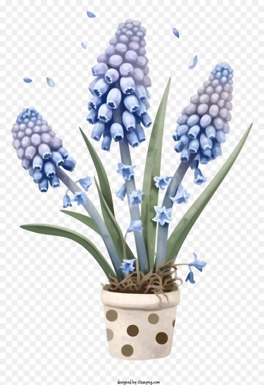 Grape Hyacinth Simplistic Vector Art，Planta Em Vasos De Jacinto PNG