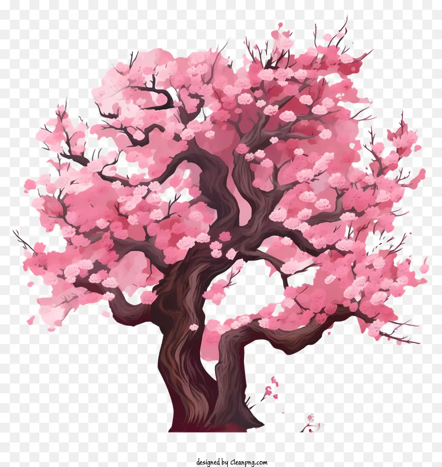 Árvore De Flores De Cerejeira Desenhada à Mão，Flor De Cereja árvore PNG