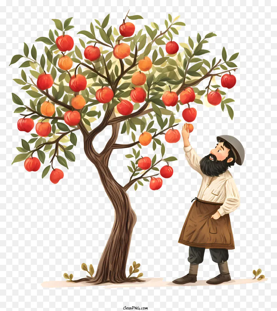 Tu Be'shevat，Homem Colhendo Maçãs PNG