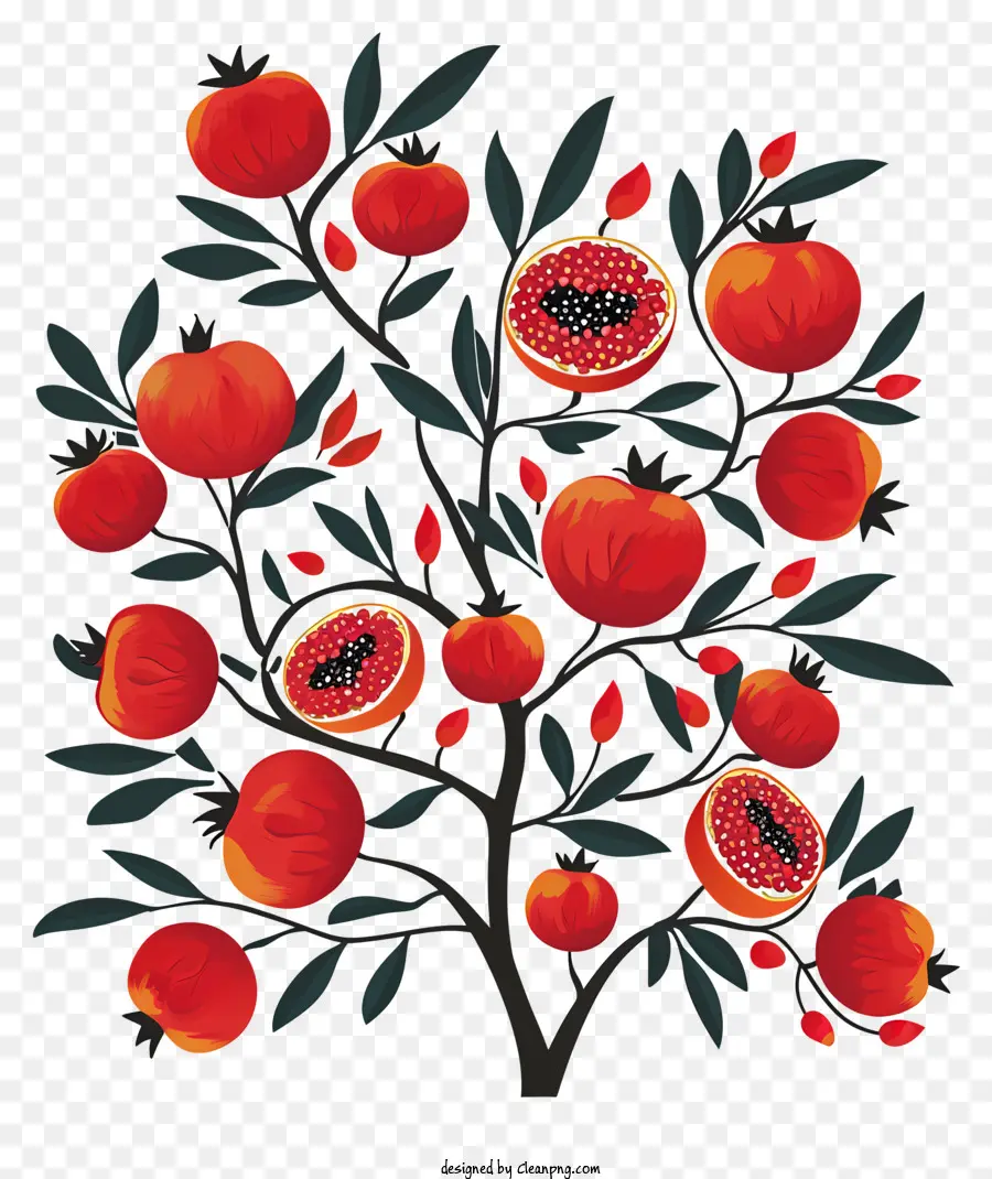 árvore De Romã，Frutas Maduras PNG