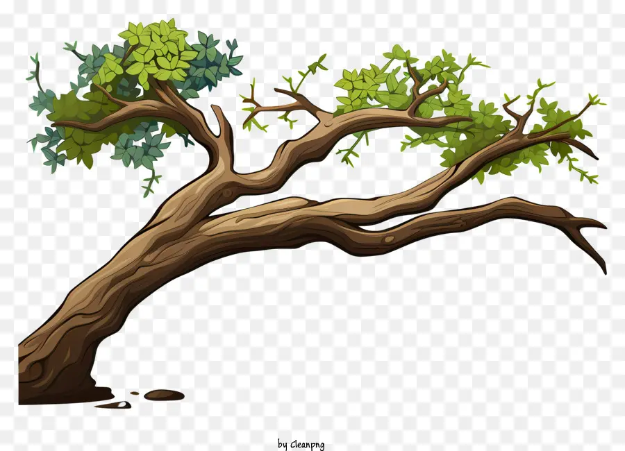 Galho De árvore No Estilo Doodle，Folhas Verdes PNG