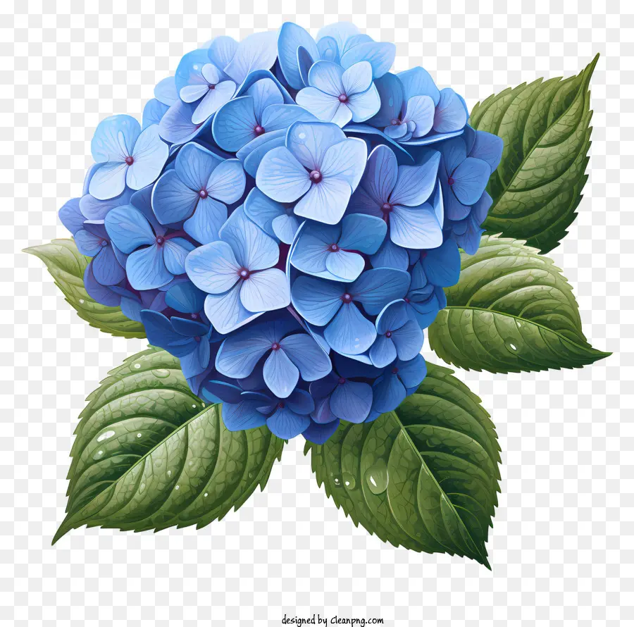 Flor De Hydrangea De Estilo Realista，Flor De Hidrante Azul PNG