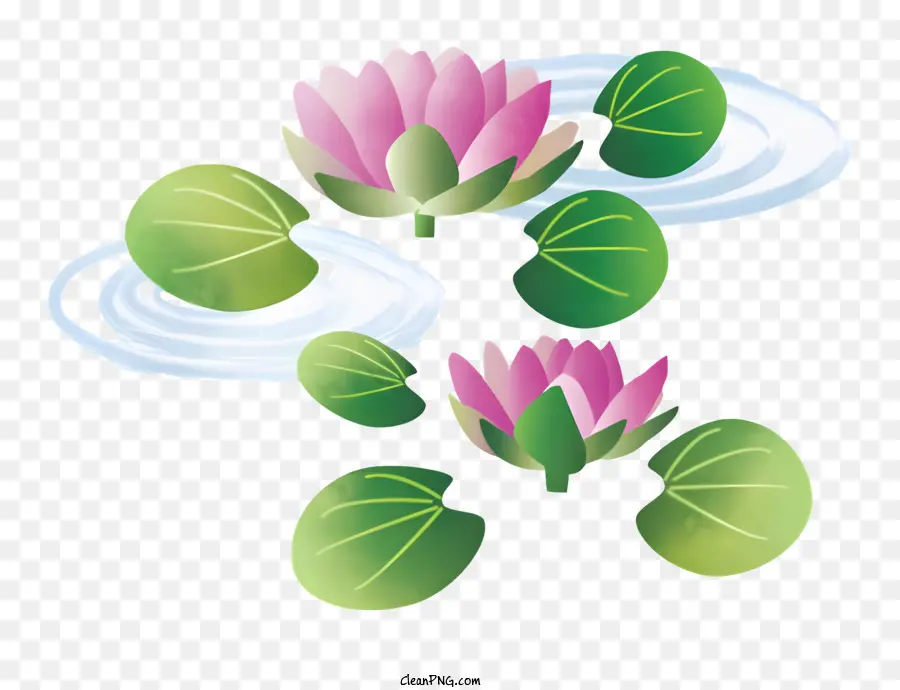 Flor，Flores De Lótus PNG